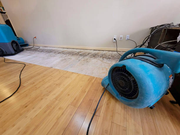 Professional Water Removal technician working in Excelsior, MN